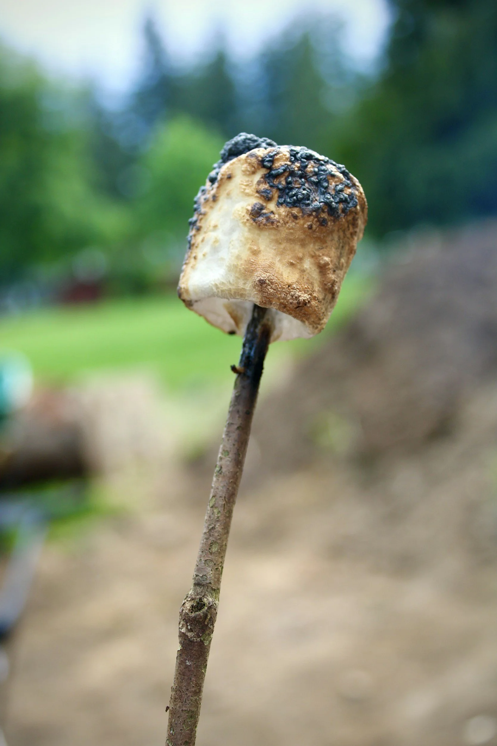 Toasted Marshmallow Cafe Syrup