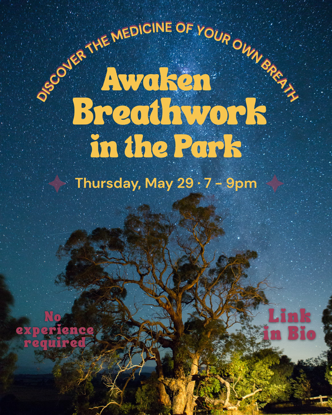 Breathwork in McCarren Park