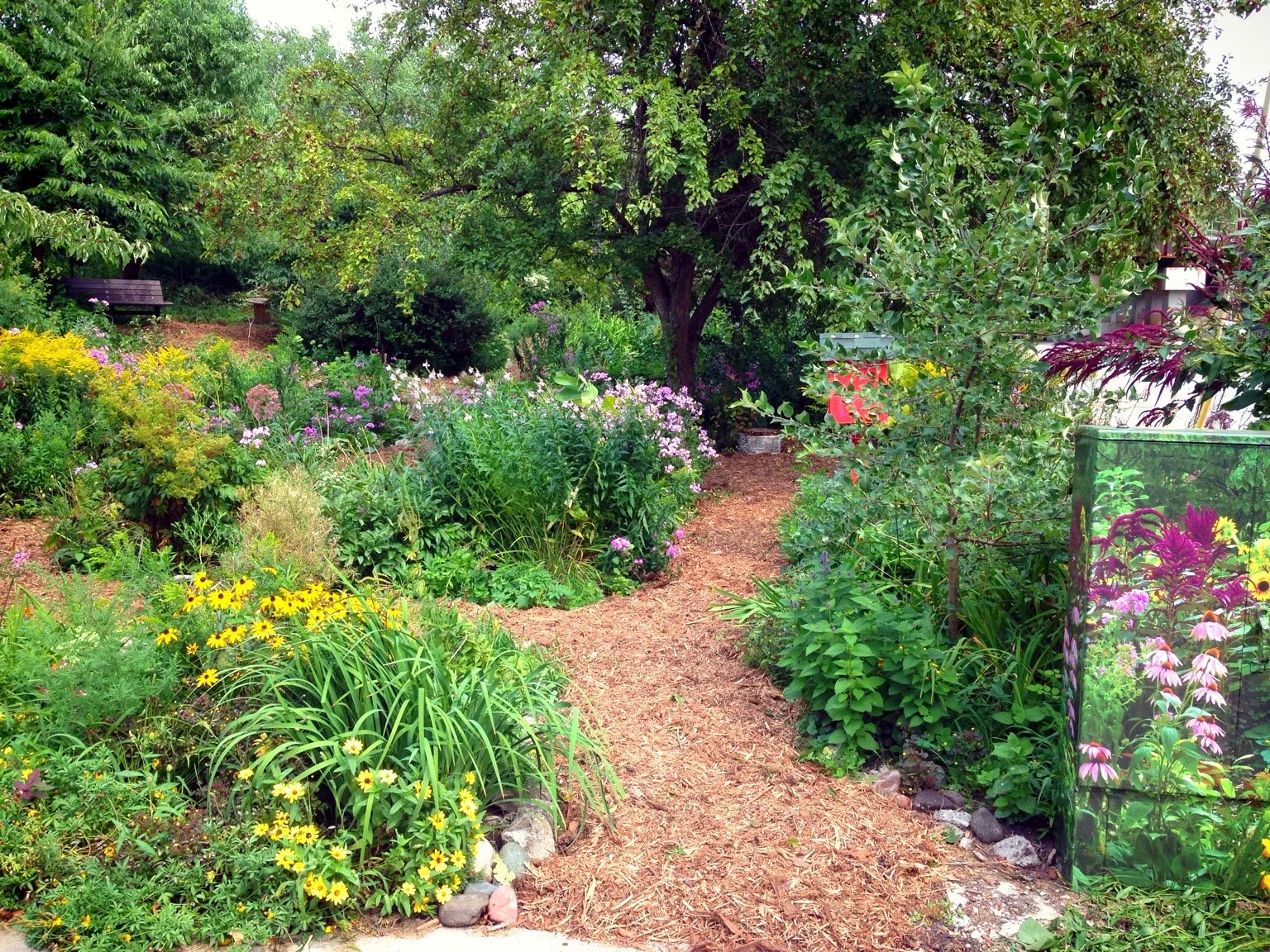 HELP WANTED: Como Community Garden Associate