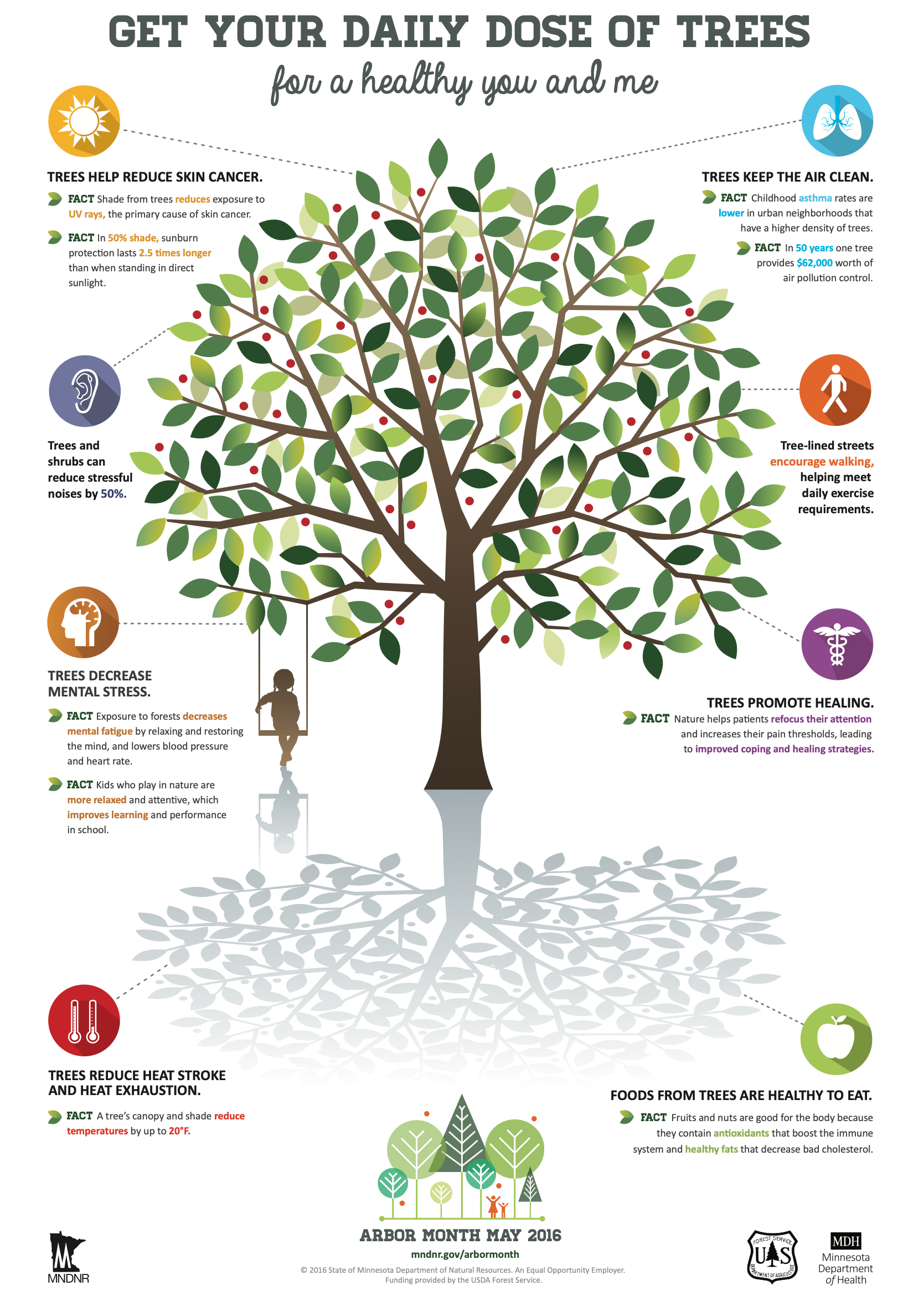 Free Trees Available Through Minneapolis City Trees Program
