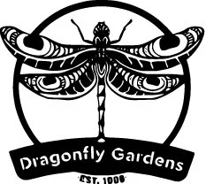 Dragonfly Gardens