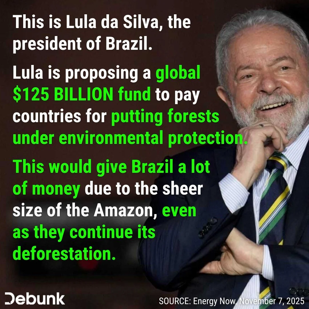 Under this scheme, the country that's doing the most to destroy forests would be paid BILLIONS from countries around the globe for &quot;protecting&quot; them.