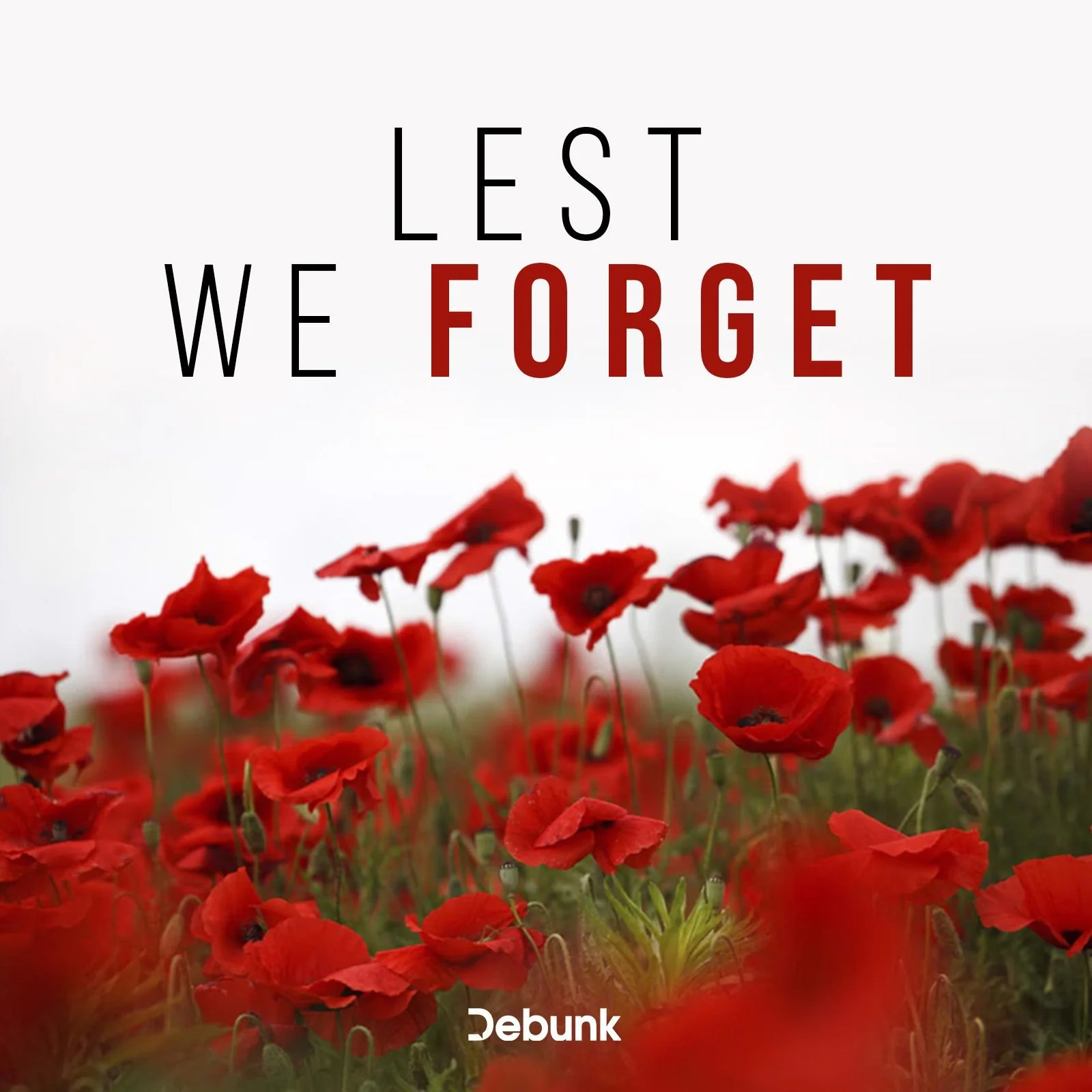 Today we honour the brave men and women who lost their lives fighting for Canada.

Lest we forget.