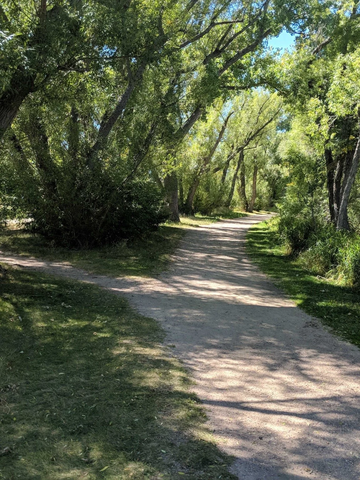The Journey: Where God      Found Me