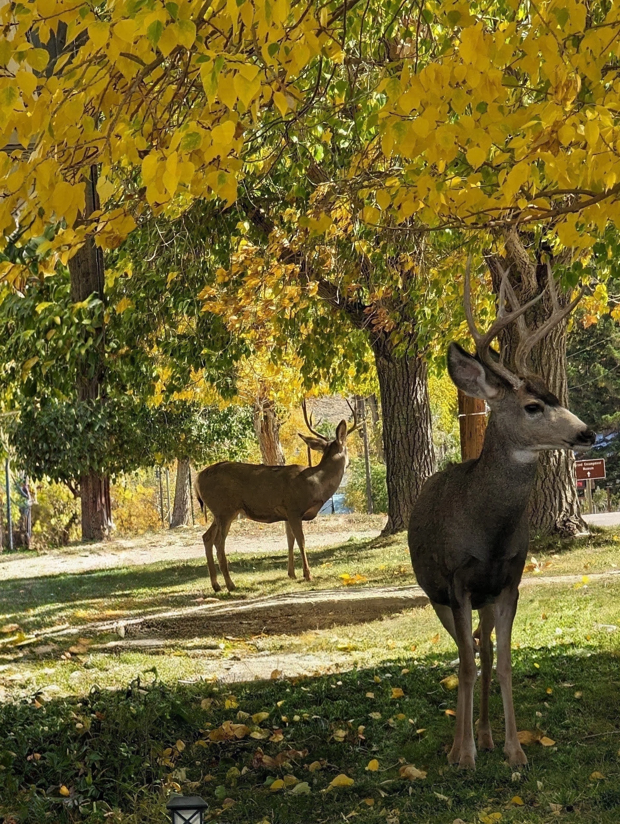Grateful Living: Noticing God in the Ordinary