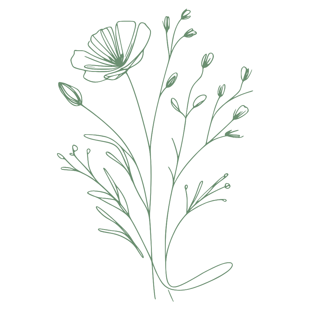 Line drawing of a floral arrangement with a large open flower, several smaller closed buds, and delicate leaves.