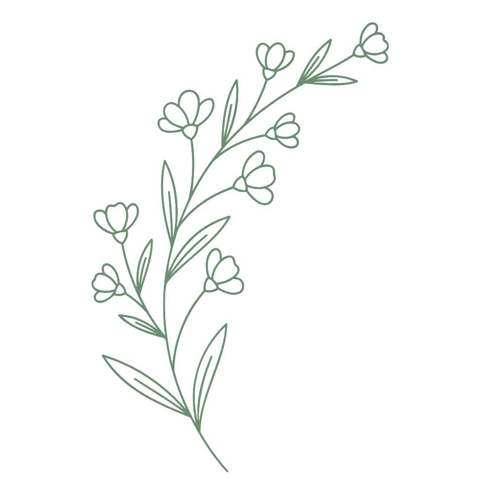 A simple, minimalist line drawing of a flowering plant with multiple small flowers and elongated leaves on a black background.