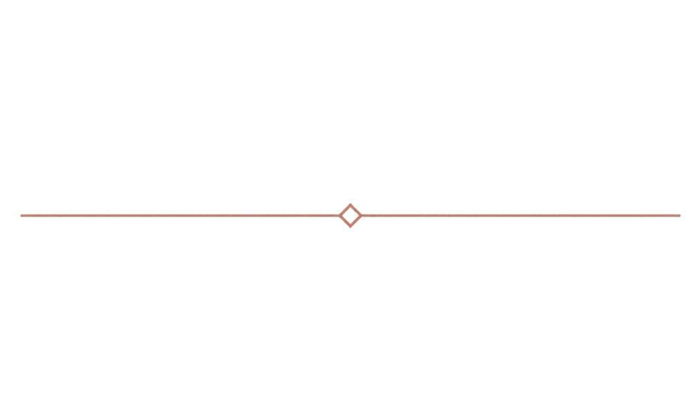Black and orange horizontal line with a diamond shape in the center.