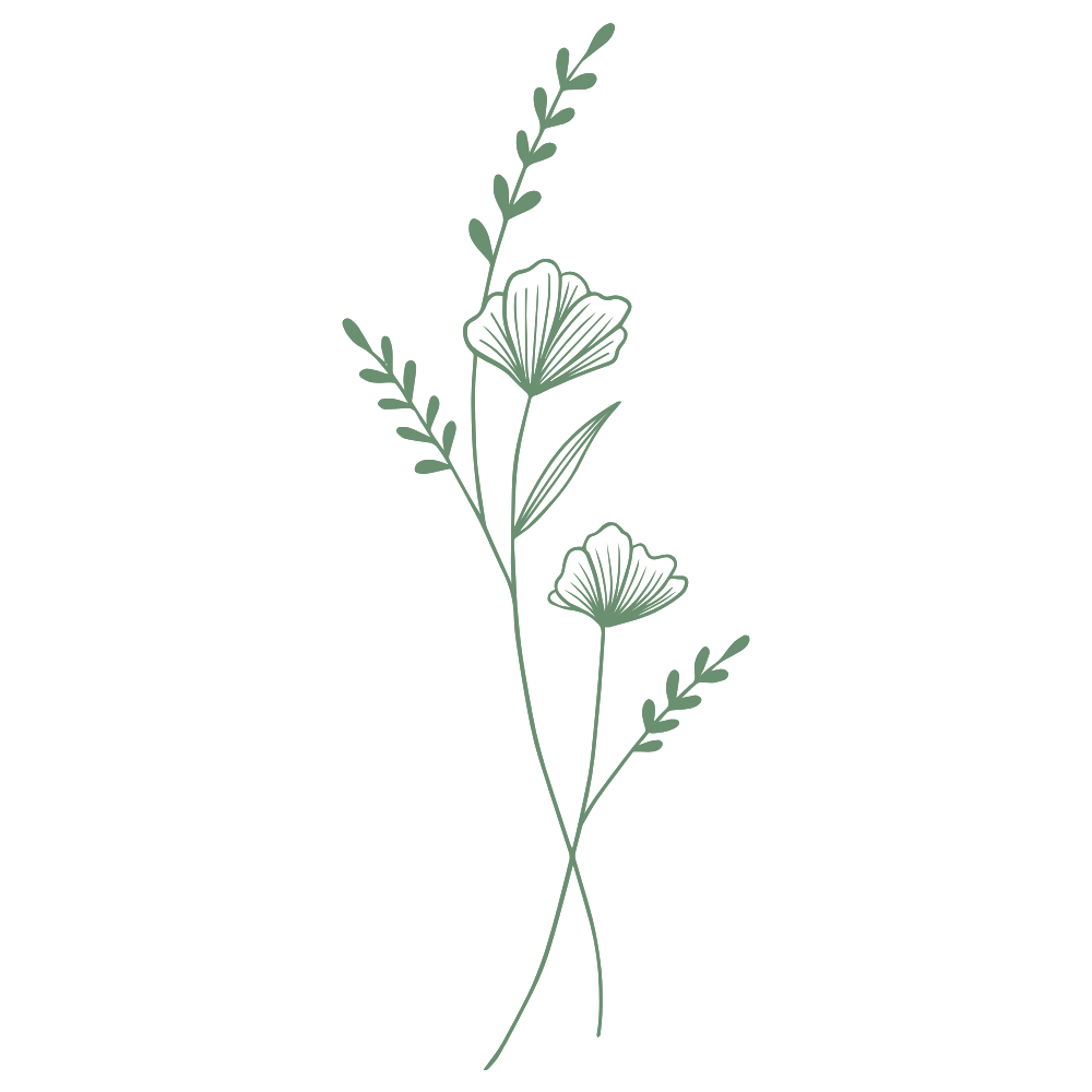 Illustration of a botanical drawing with green leaves and two poppy flowers on dark background.