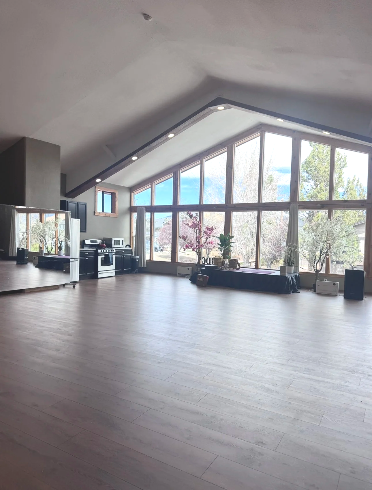 Spacious room with large angled windows, hardwood floors, and minimal decor, featuring potted plants and a black table with cherry blossom trees outside.