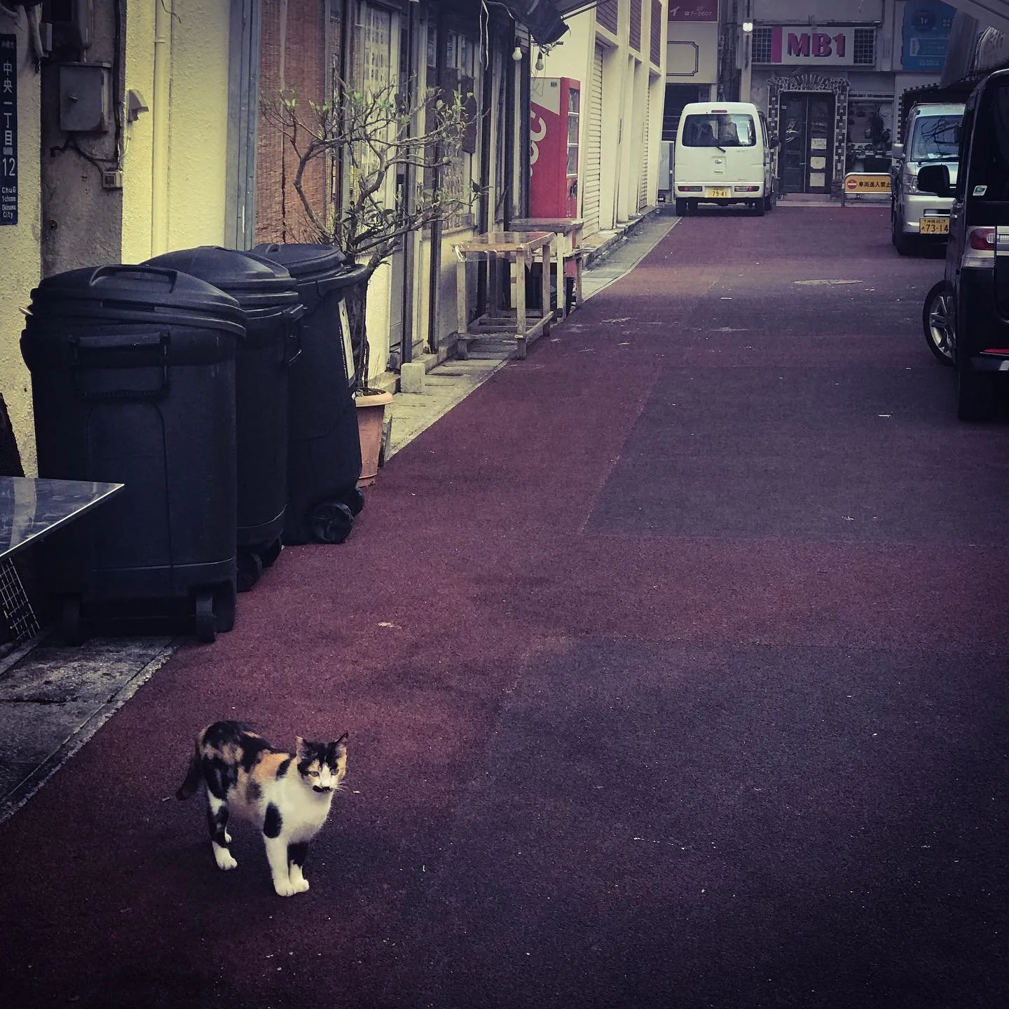 用事があって沖縄にきた