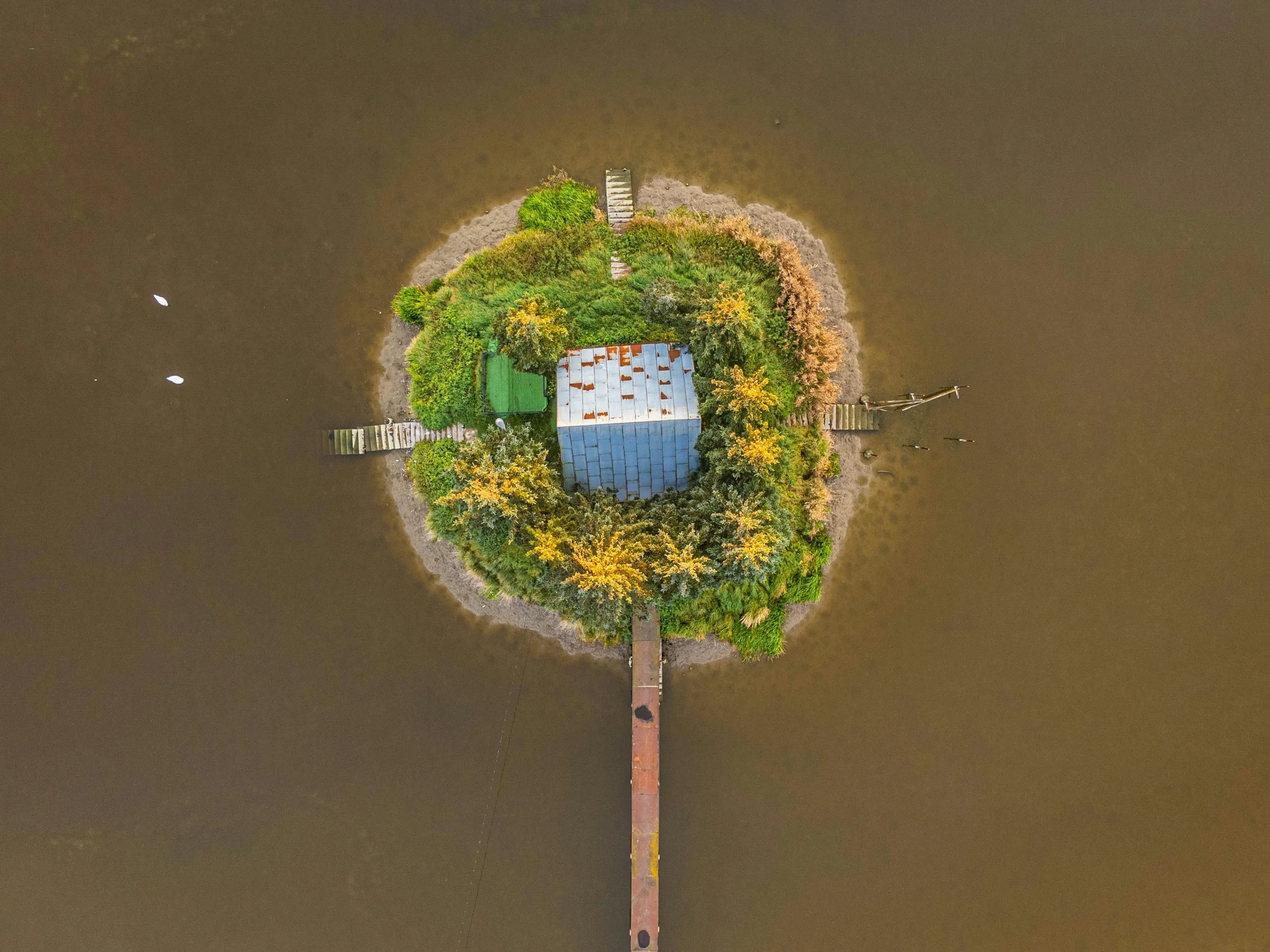 BRIDGING THE CLIMATE DIVIDE: YOUNG PEOPLE LEADING THE WAY FOR OCEANIA AND THE CARIBBEAN