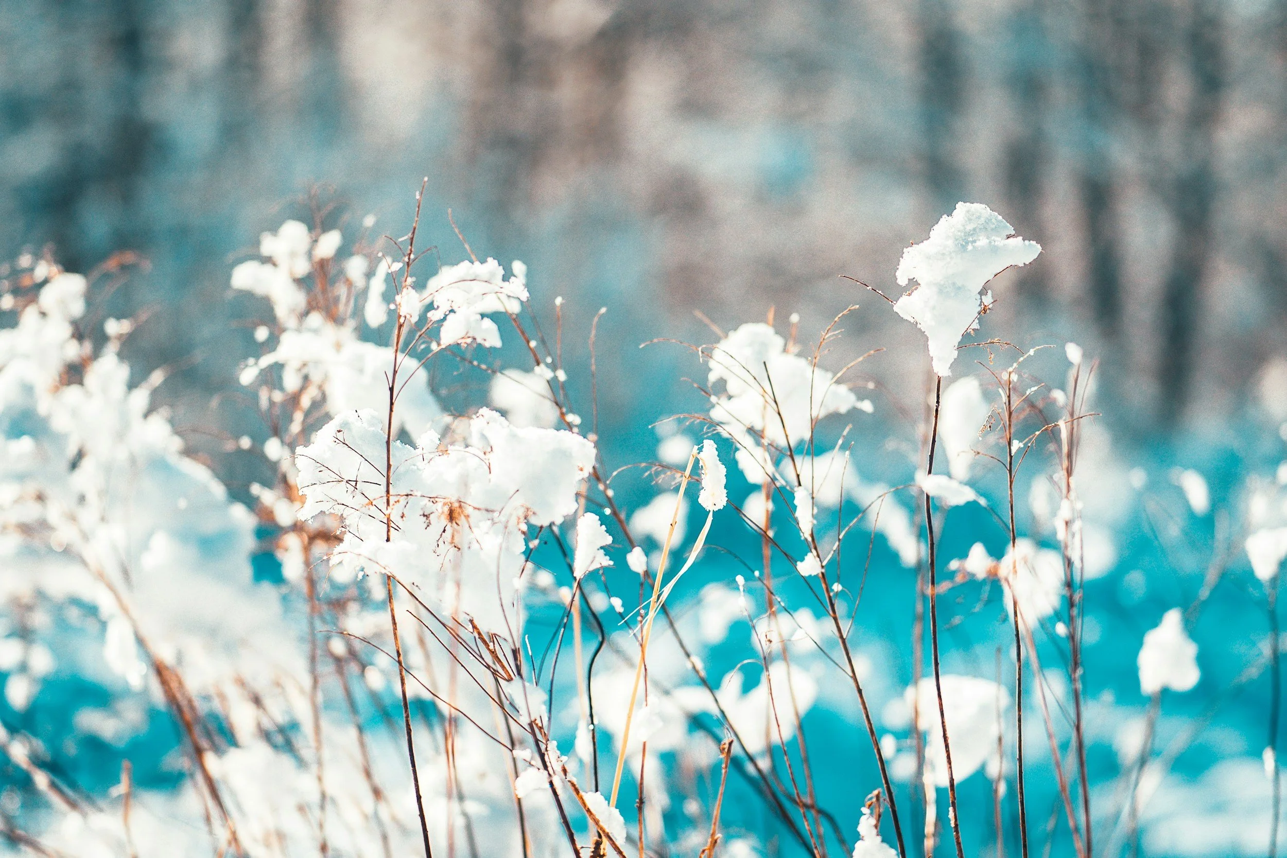 Seasonal Paint Party Ideas: A Month-by-Month Guide