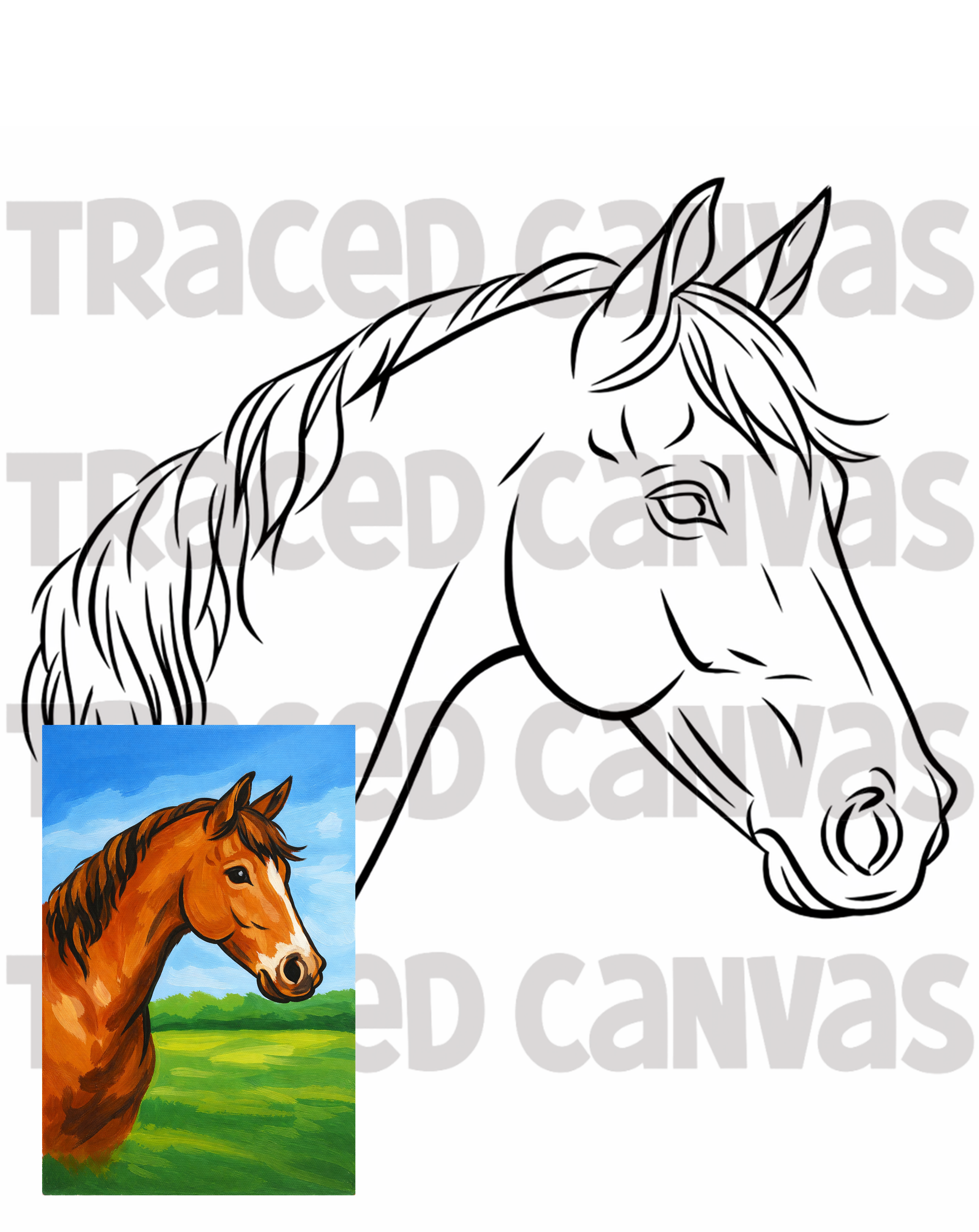 Horse Portrait - Traced Canvas