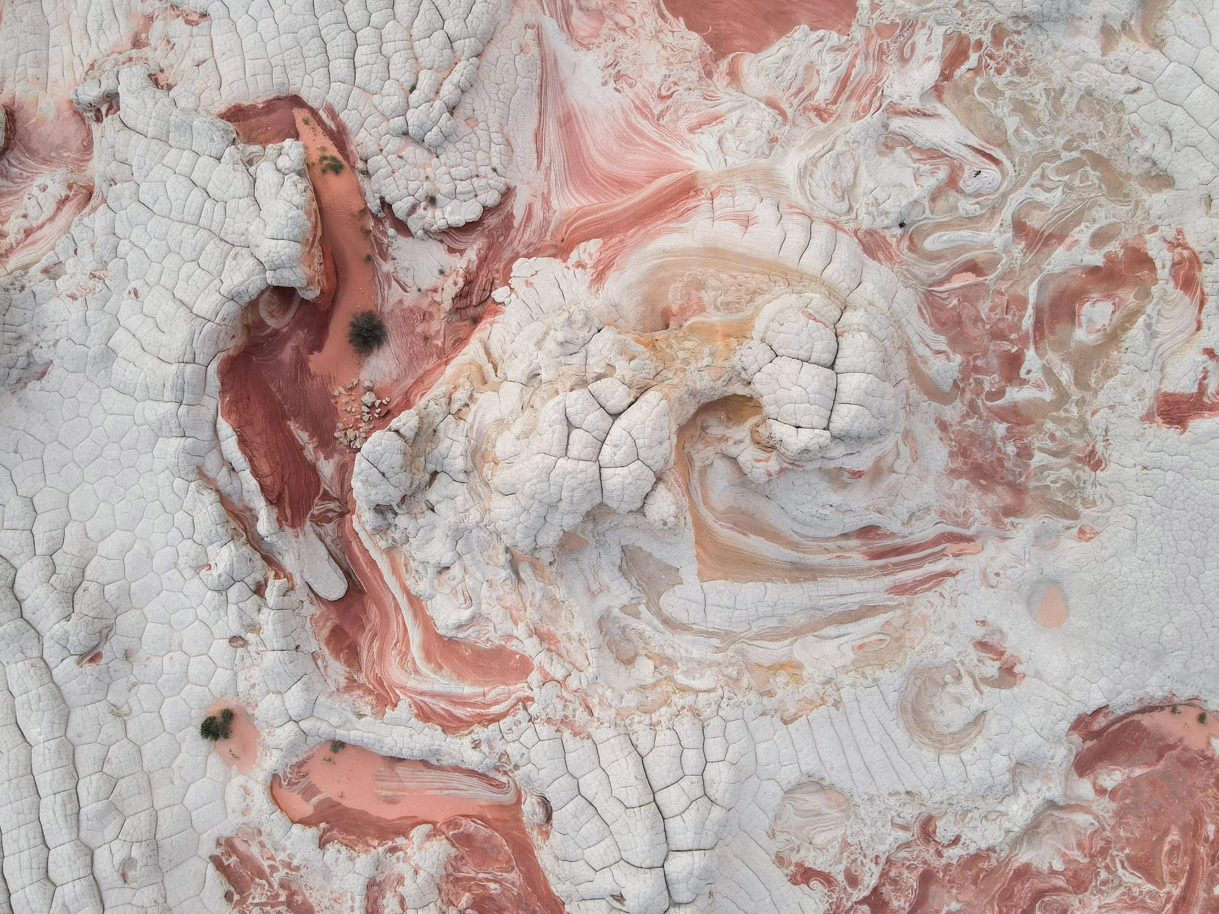 The Top 7 Reasons That Make White Pocket a Photographer’s Dream Destination