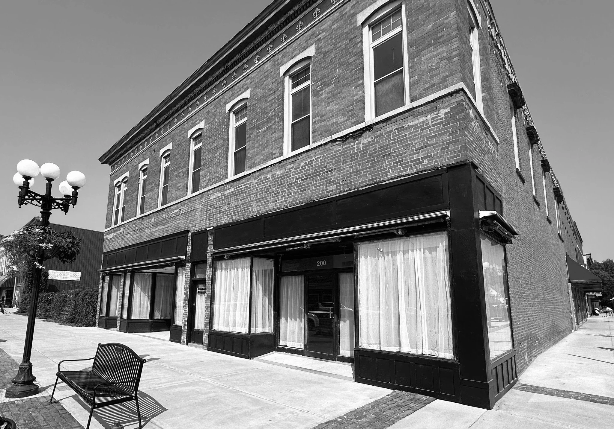 fleur de lis havana bw.jpg