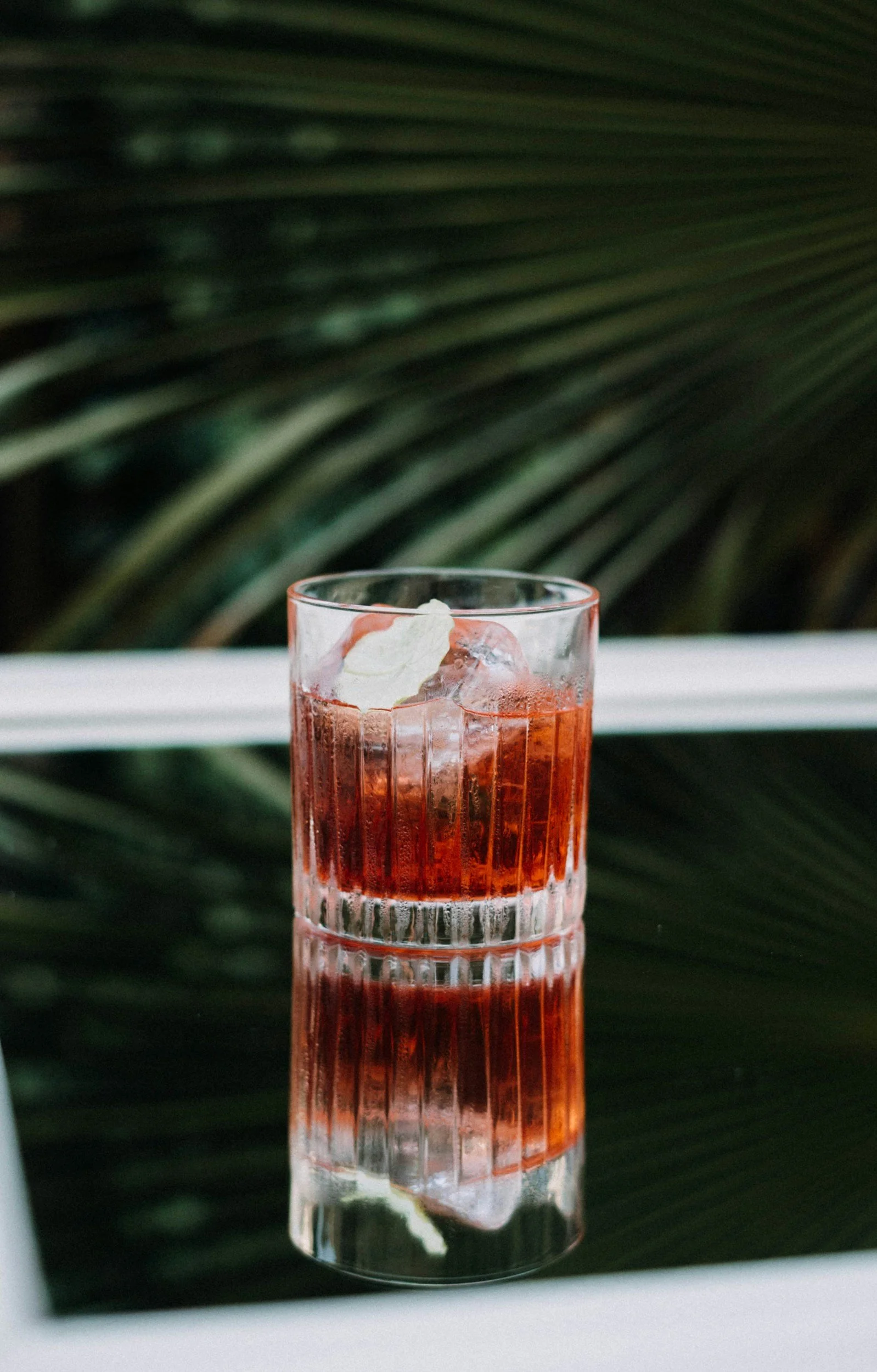 A cocktail of pinkish-red cocktail with ice cubes and a lime wedge, reflected on a mirror surface, with green palm leaves in the background.