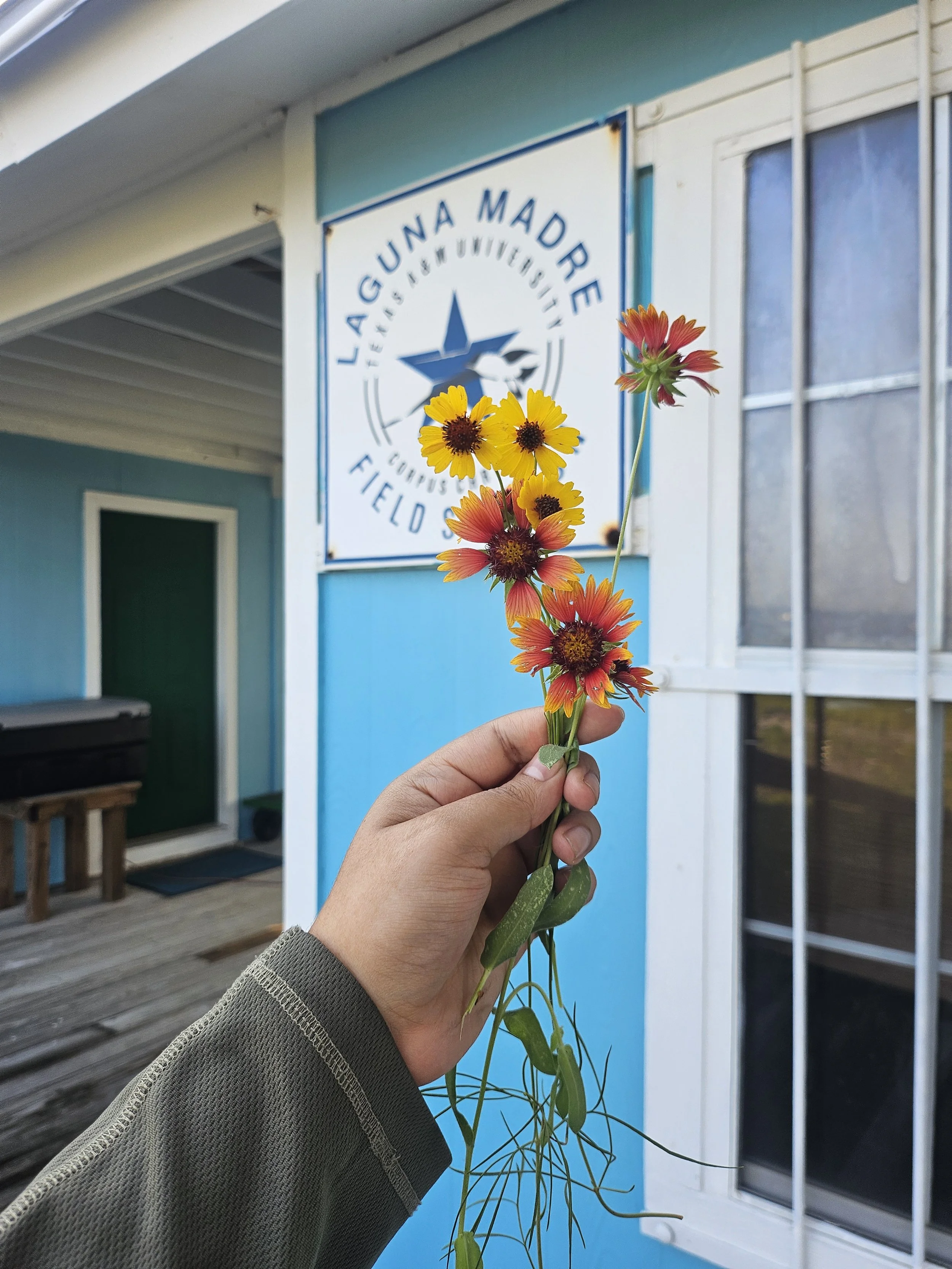 Laguna Madre Art Residency