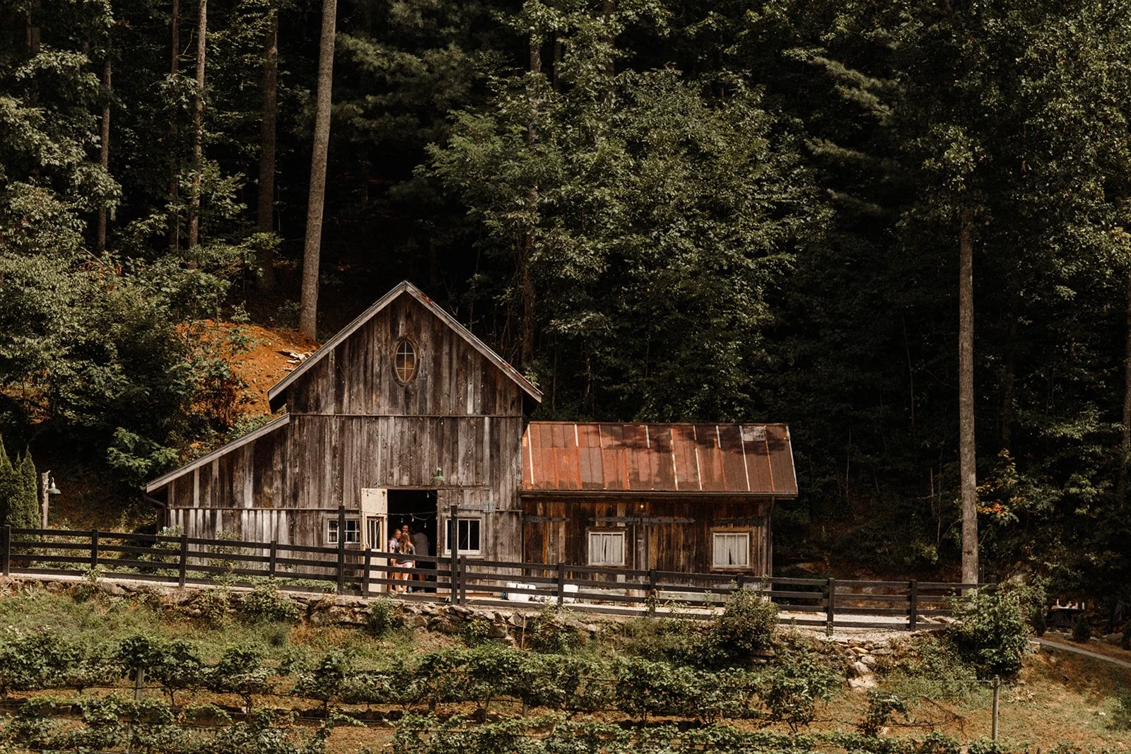 high-holly-vineyard-sunset-lodging