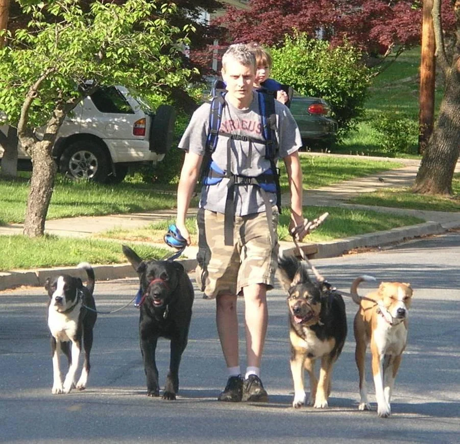 Loose-Leash Walking (PET)