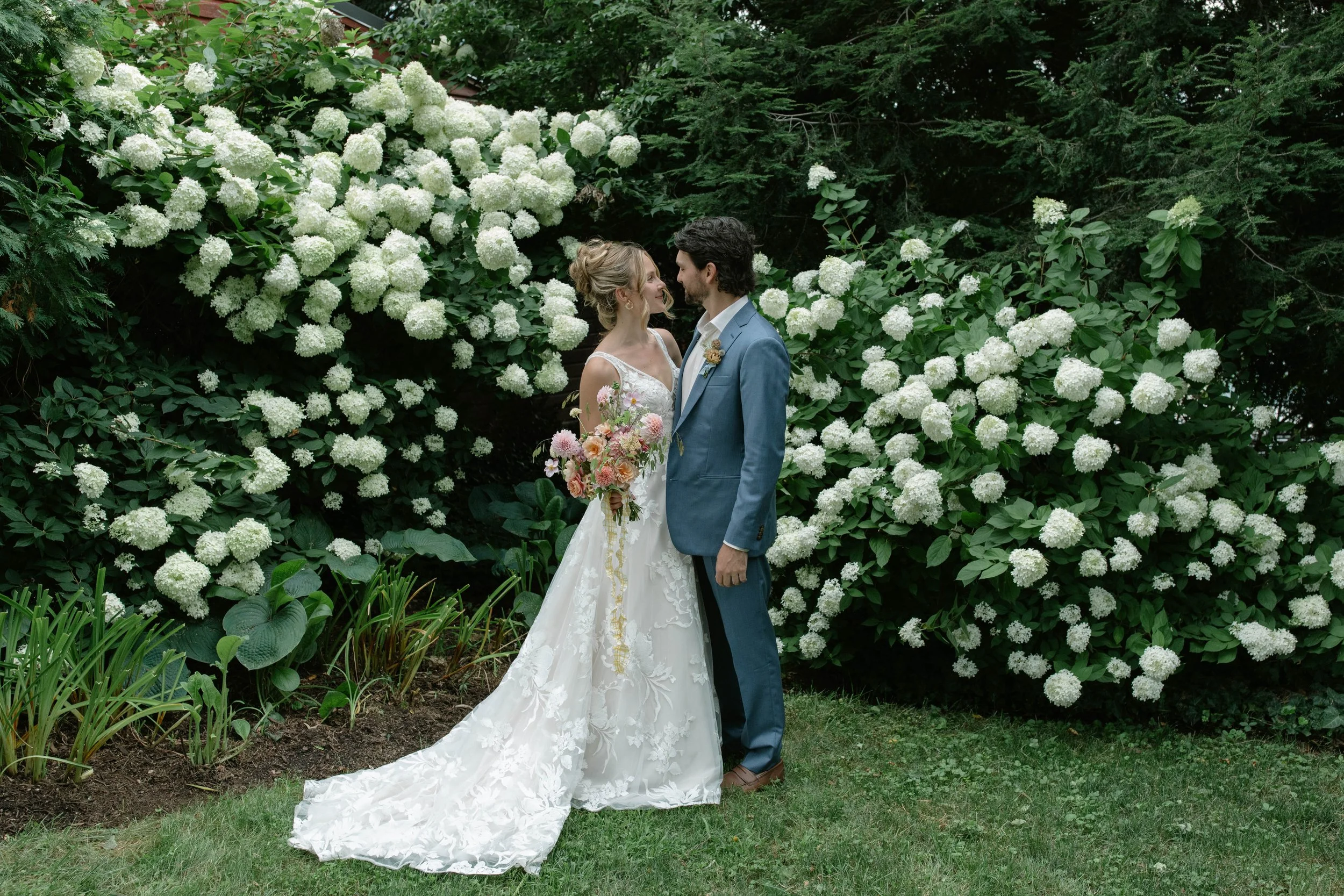 Johnson Estate winery Westfield, NY A bride in a white wedding gown holding a bouquet of flowers stands facing a groom in a blue suit in front of large, white, blooming bushes in a garden setting.