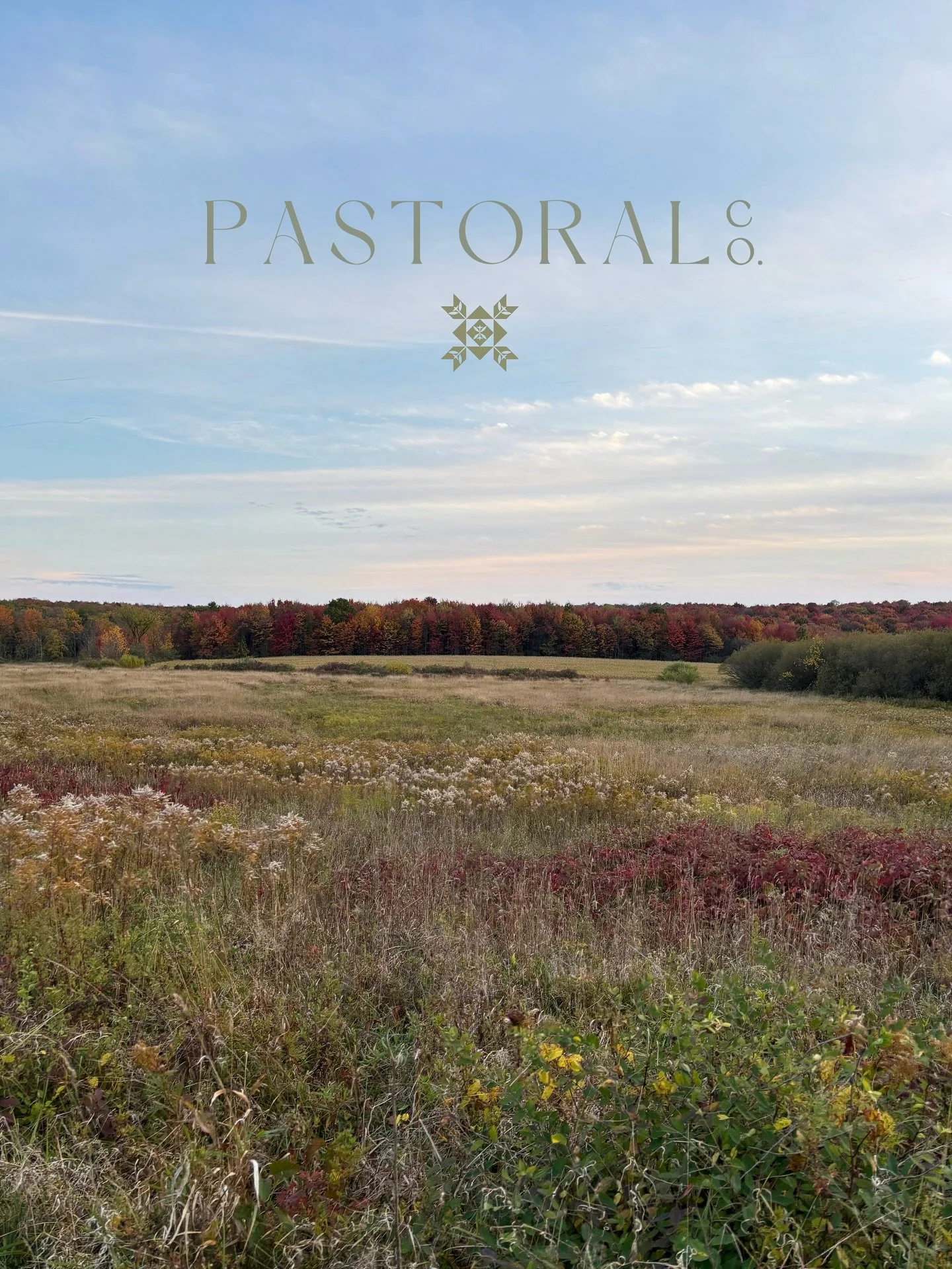 I find endless inspiration in the world around me, and there is something extra magical about this season. Saving these here for color inspiration and little reminders of joy. ✨🍂