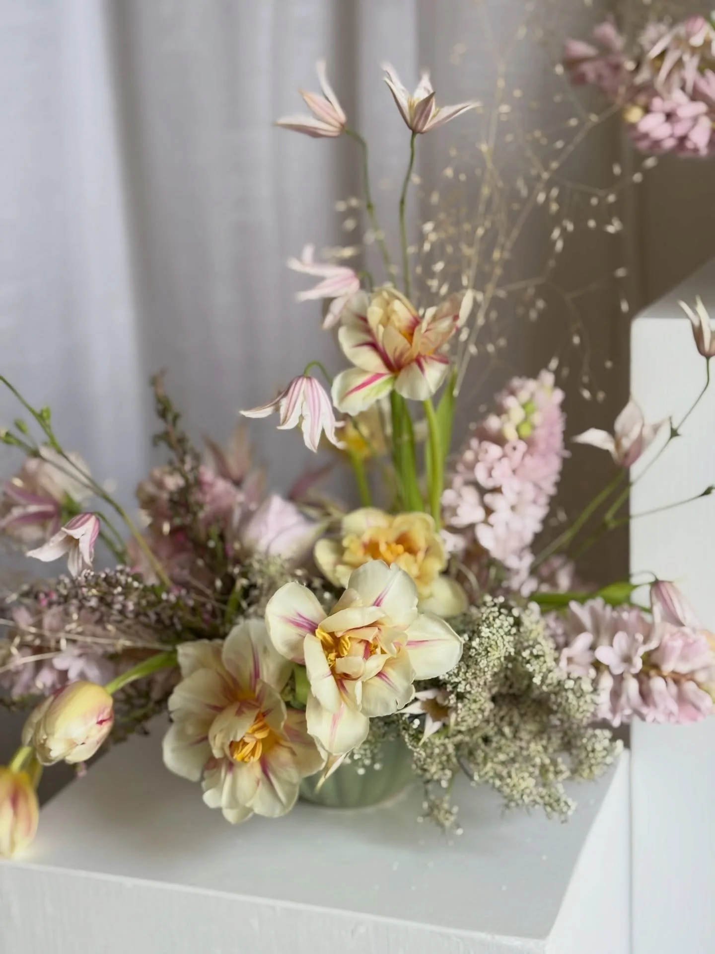 Some spring blooms to brighten a snowy day ☀️

Dreaming of all the beautiful flowers just a couple months away and the exciting events ahead. Maybe it&rsquo;s an unpopular opinion, but I love the snow. It feels like the world taking a pause, a stilln