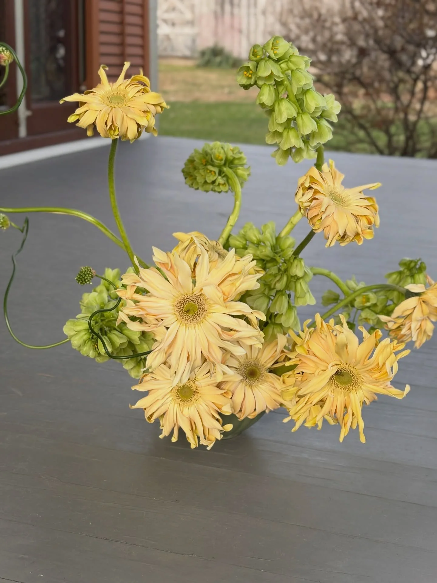 Fritillaria, Allium, and Pasta Carbonara 🧈

So much to share, trying to get better for the algorithm 💫