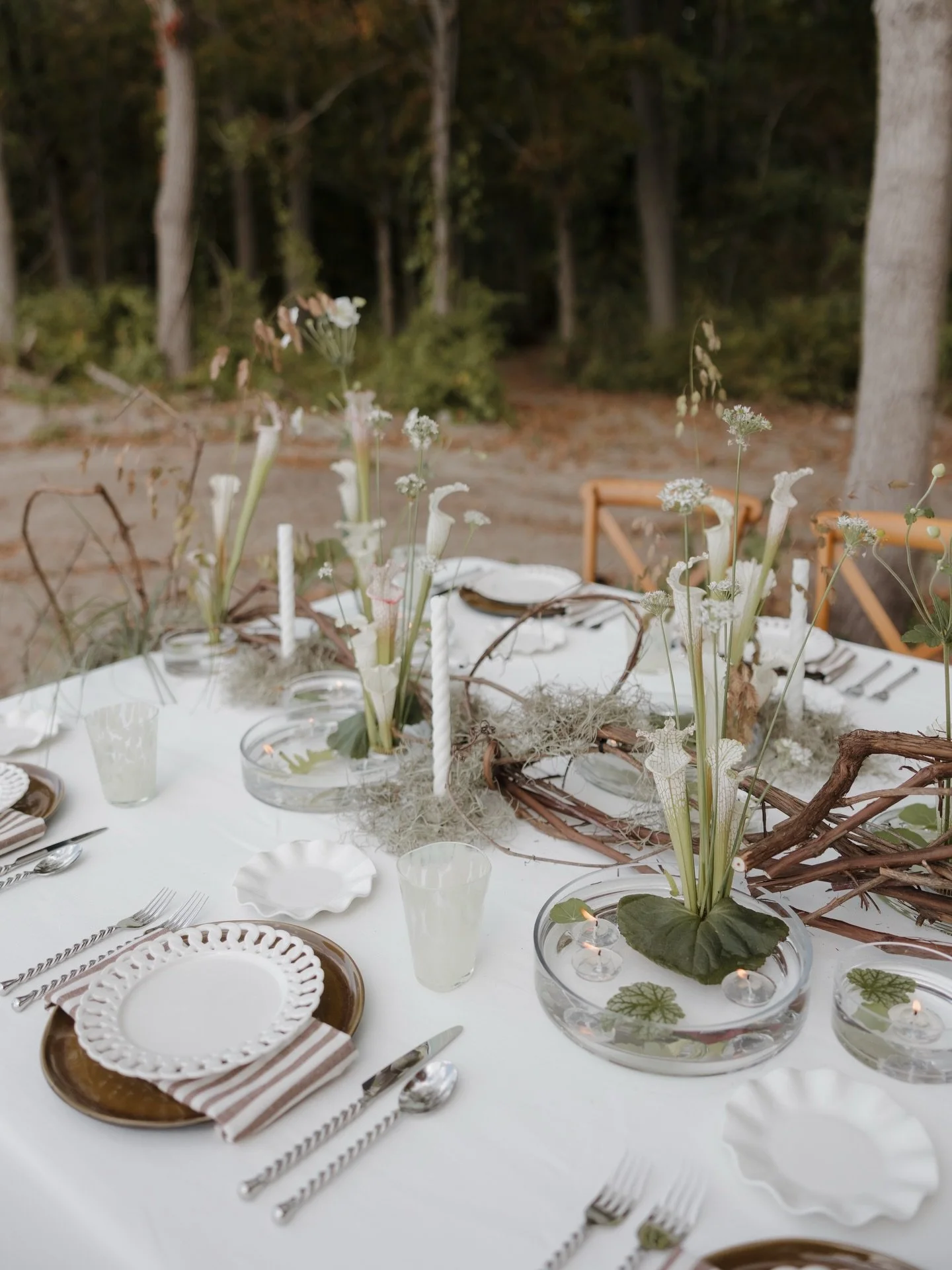 A favorite tablescape from last September ✨💫

I wanted to create a setting that reflected the environment, weaving vines and moss and creating little floating pools giving a nod to the lake behind us. This was a fun one! 

Hosts: @therichardsoncolle