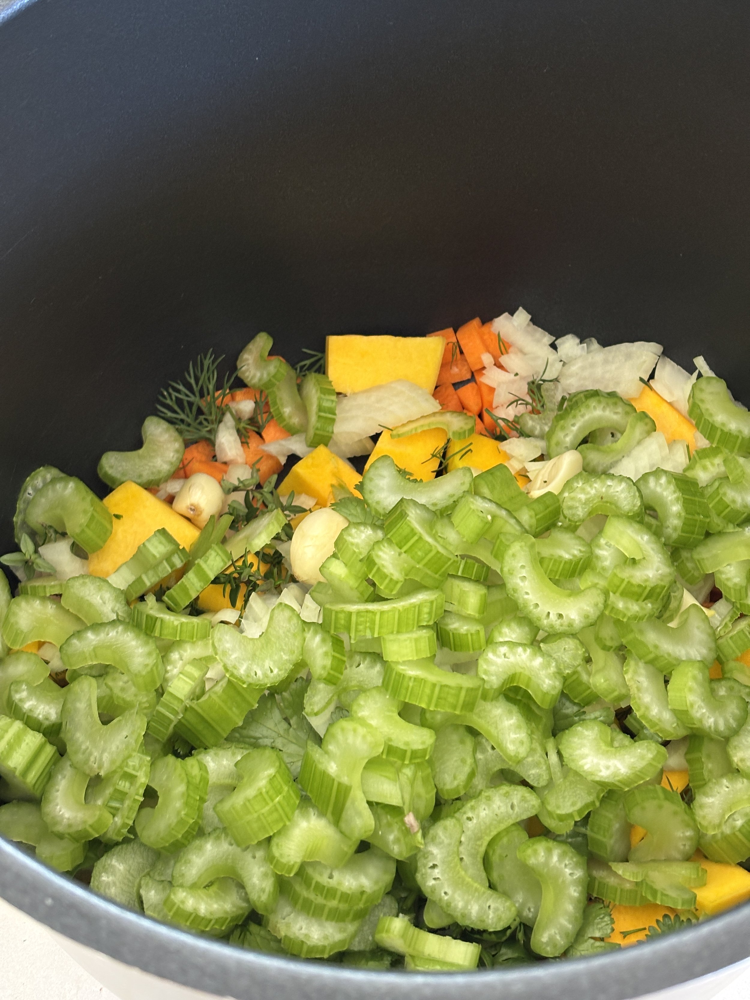 GUT-HEALING CHICKEN SOUP