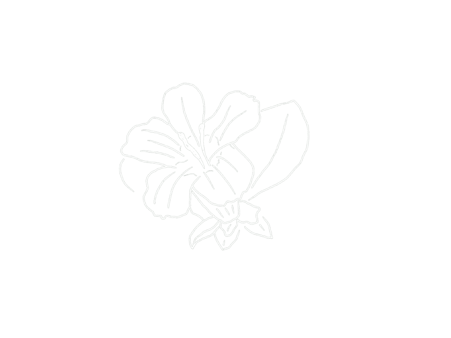 progression naturopathy 