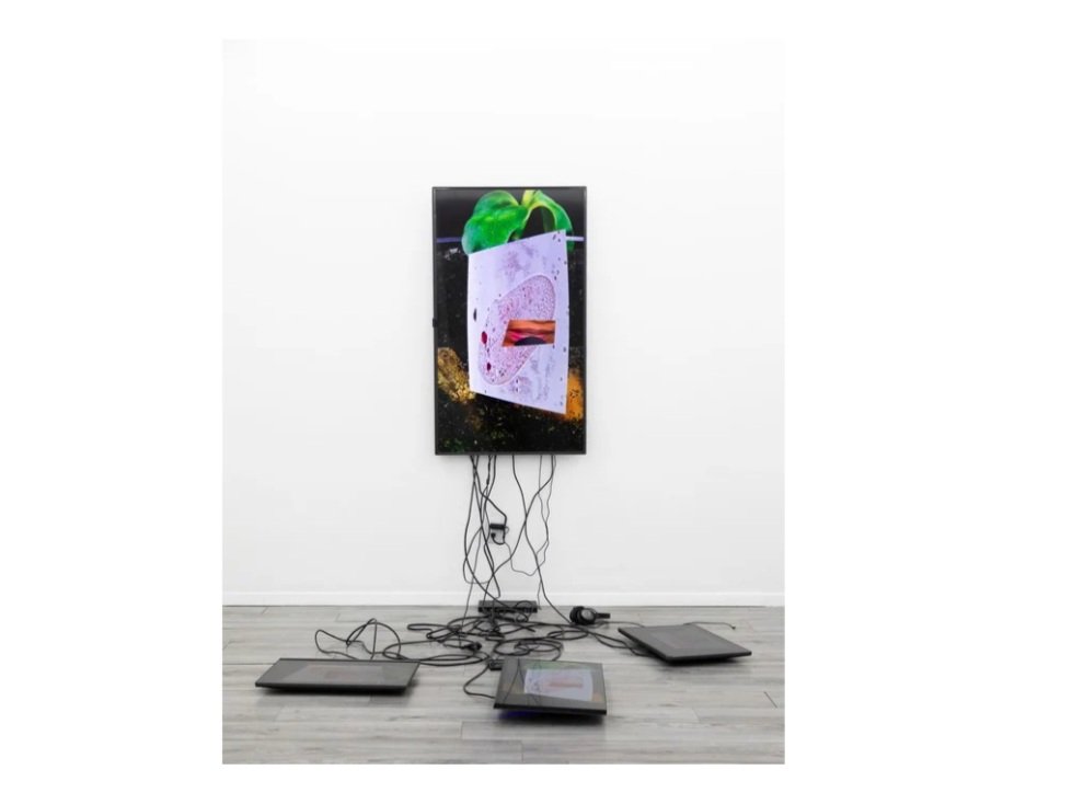 Timothy Yanick Hunter
Thorax, 2025
Digital Multi Channel Video
480p
3min 20sec