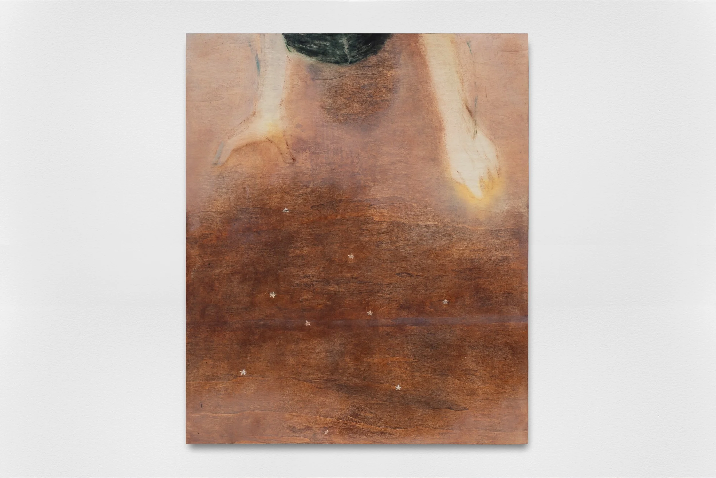 Picking Stars, 2026 
Oil on panel 
45 × 55 cm 
17.72 × 21.65 in.  