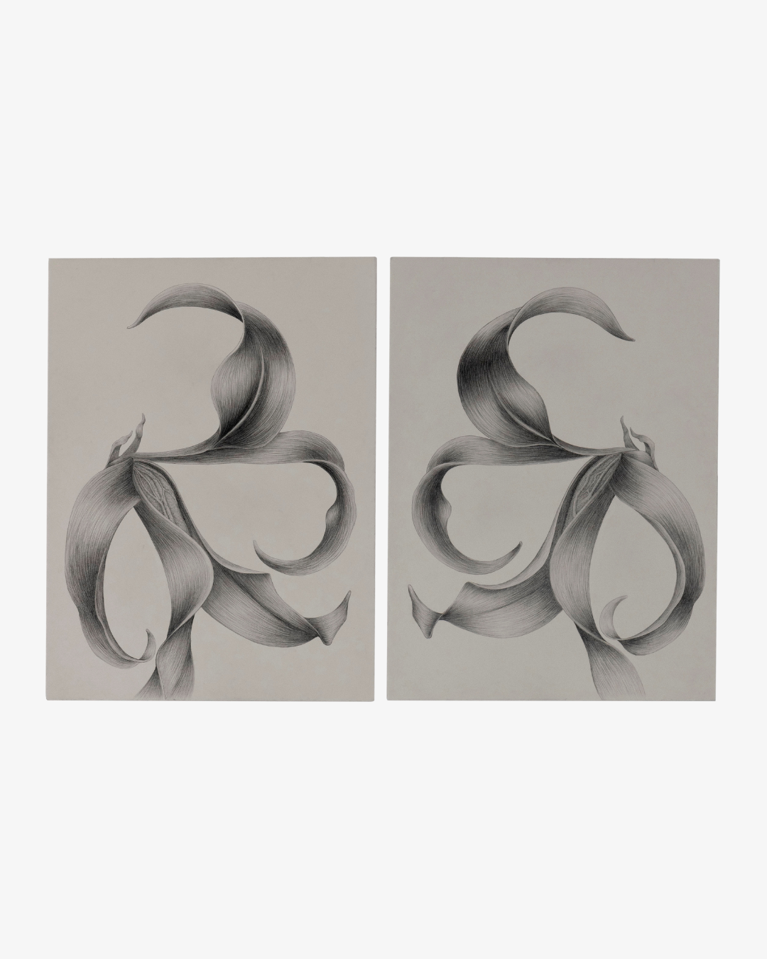 Roberto Barbosa 
Duo Lilies, 2024 
Charcoal on paper 
77 x 57 cm 
30.31 in. x 22.44 in. 