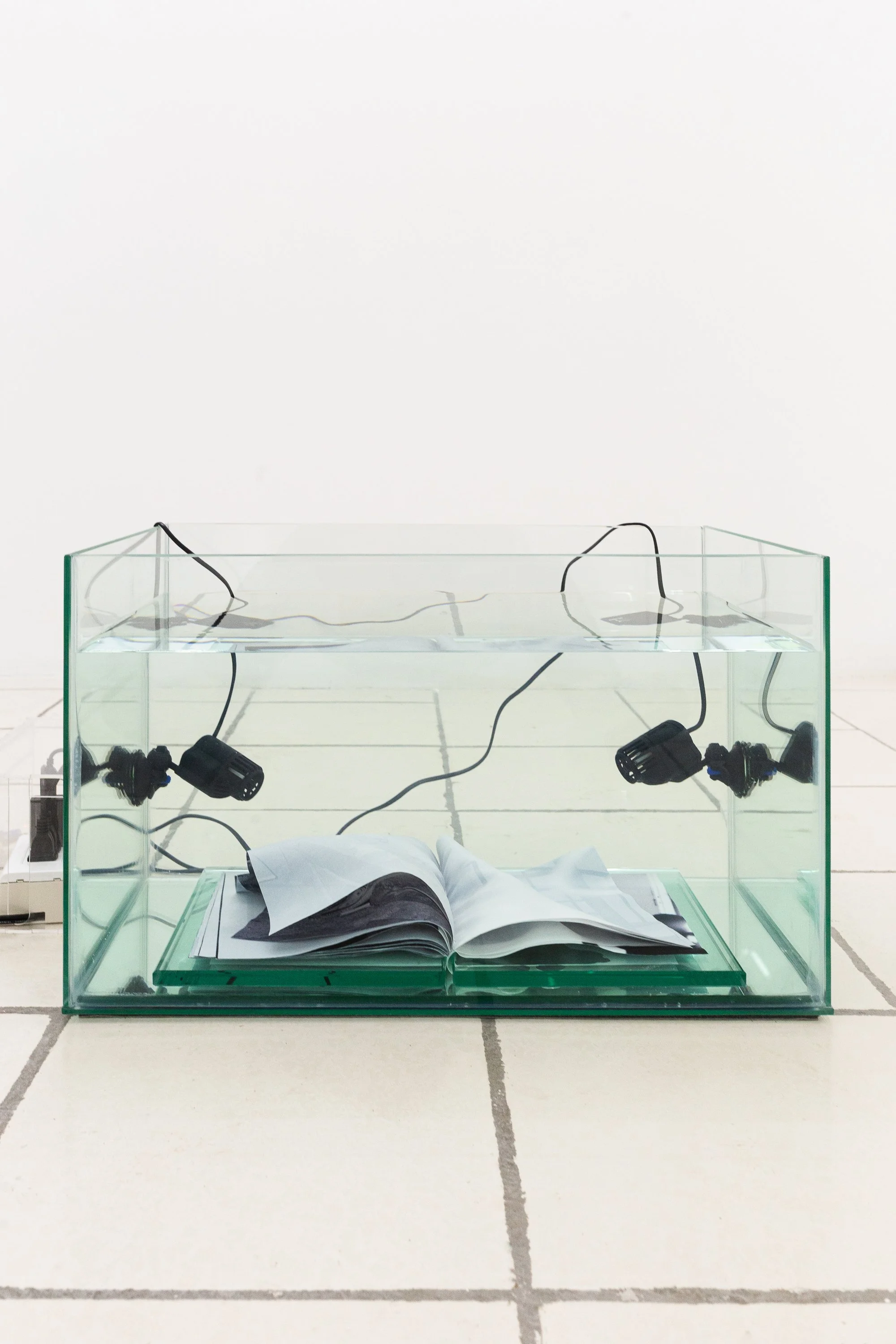 Lesley-Anne Cao 
Amphibian Palm (For Pictures or Landscapes), 2026 
Glass tanks, mirrors, glass counterweights, digital print on satin, water, wave makers, relay timer, power cables, acrylic box, music 
60 × 40 × 35 cm 
23.62 × 15.75 × 13.78 in.  