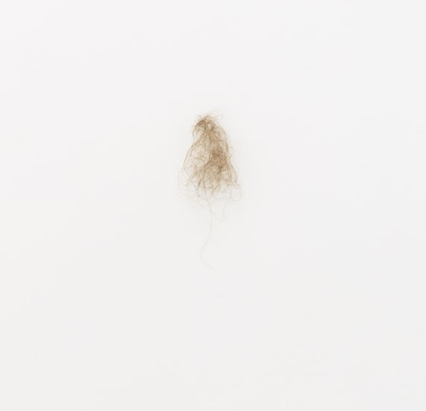 Leftlovers XX & Leftlovers XXI, 2025
Human hair
Variable Dimesions