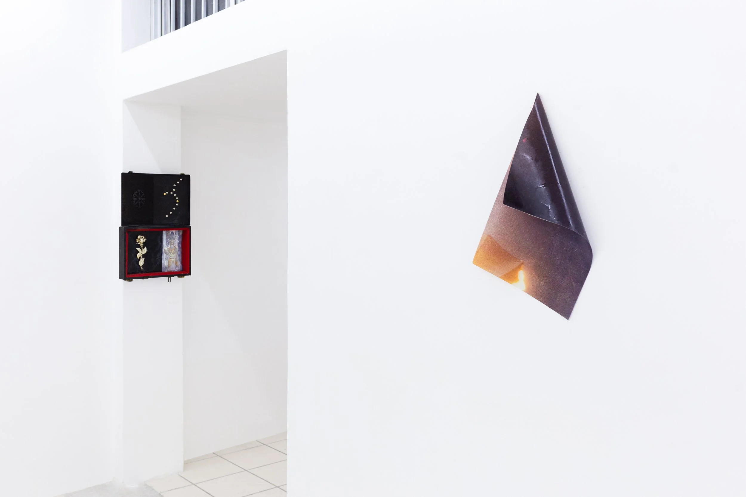 THIRDBORN FEB2026-3.jpg