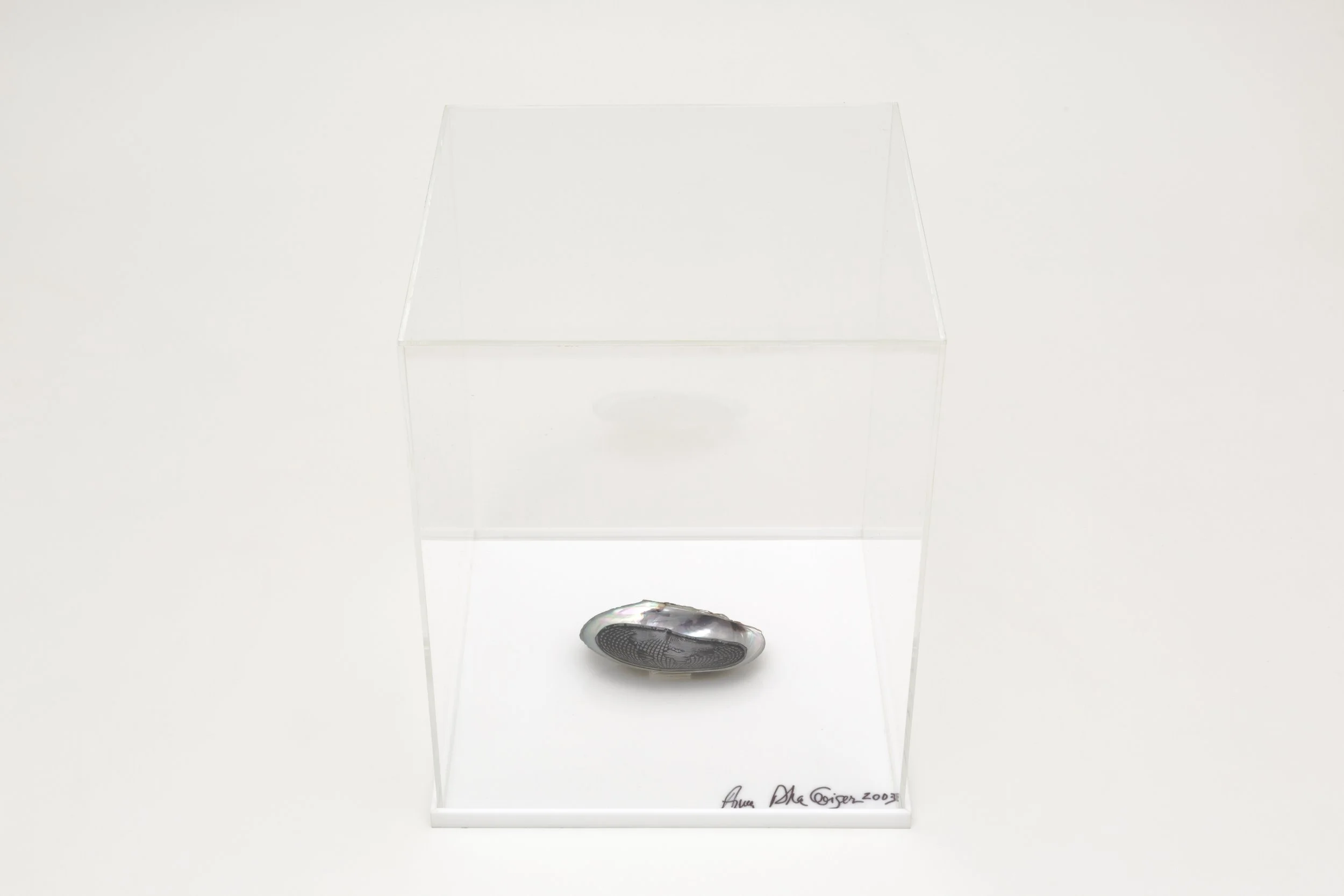 Anna Bella Geiger 
Sobre Nácar, 2003 
Edition of 6 (#6/6) 
Shell and metals 
12 × 6 × 8 cm 
4.7 × 2.4 × 3.1 in.  