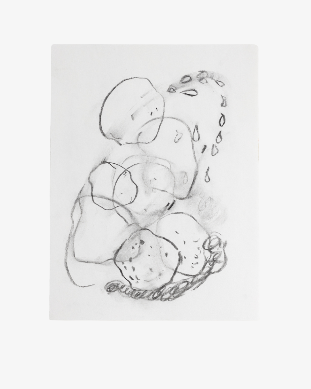 Michelle Saenz Burrola   
Exprime un cachito, 2023 
Charcoal on paper 
22.9 x 30 cm 
9 in. x 11.8 in.  