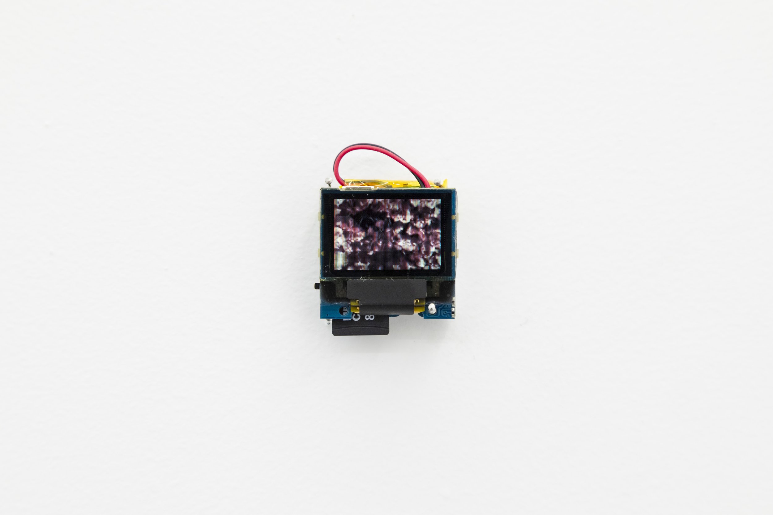 Timothy Yanick Hunter
Bug Test, 2025
Digital video, OLED Screen
3 x 3 x 3 cm
1.5 x 1.5 x 1.5 in.