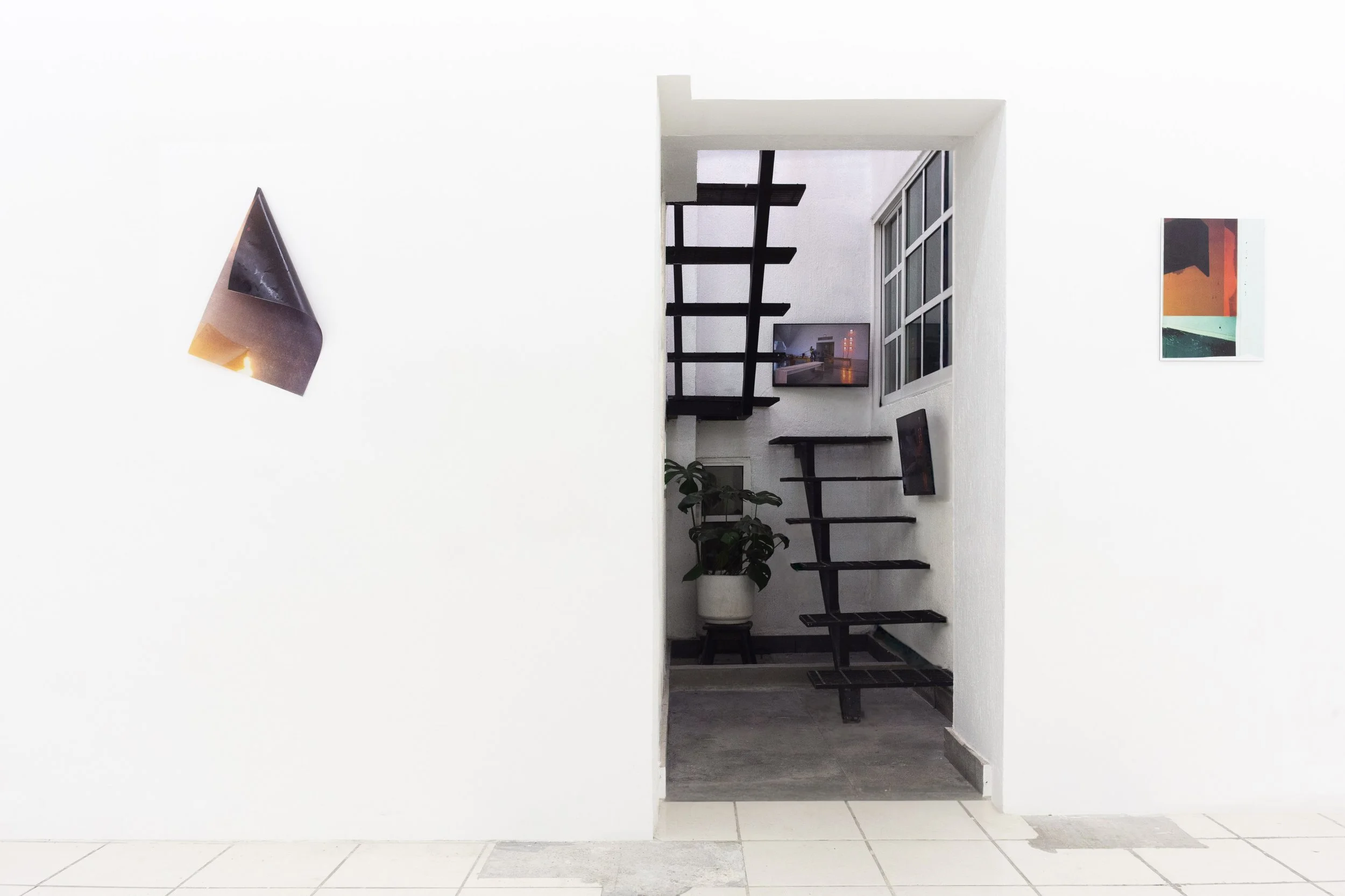 THIRDBORN FEB2026-6 (1).jpg