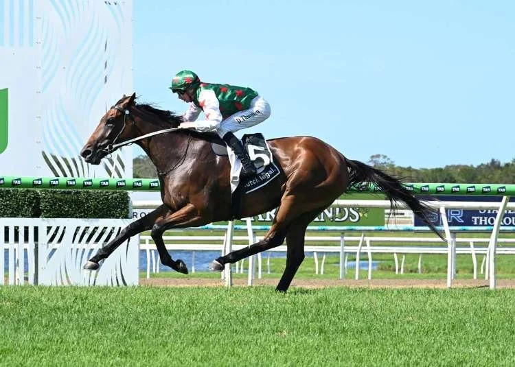 Rose to bloom as Bruce aims for biggest career win