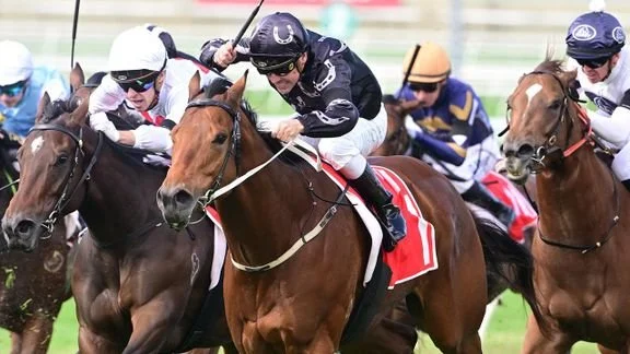 Maloney burns off rivals to cash in at Doomben