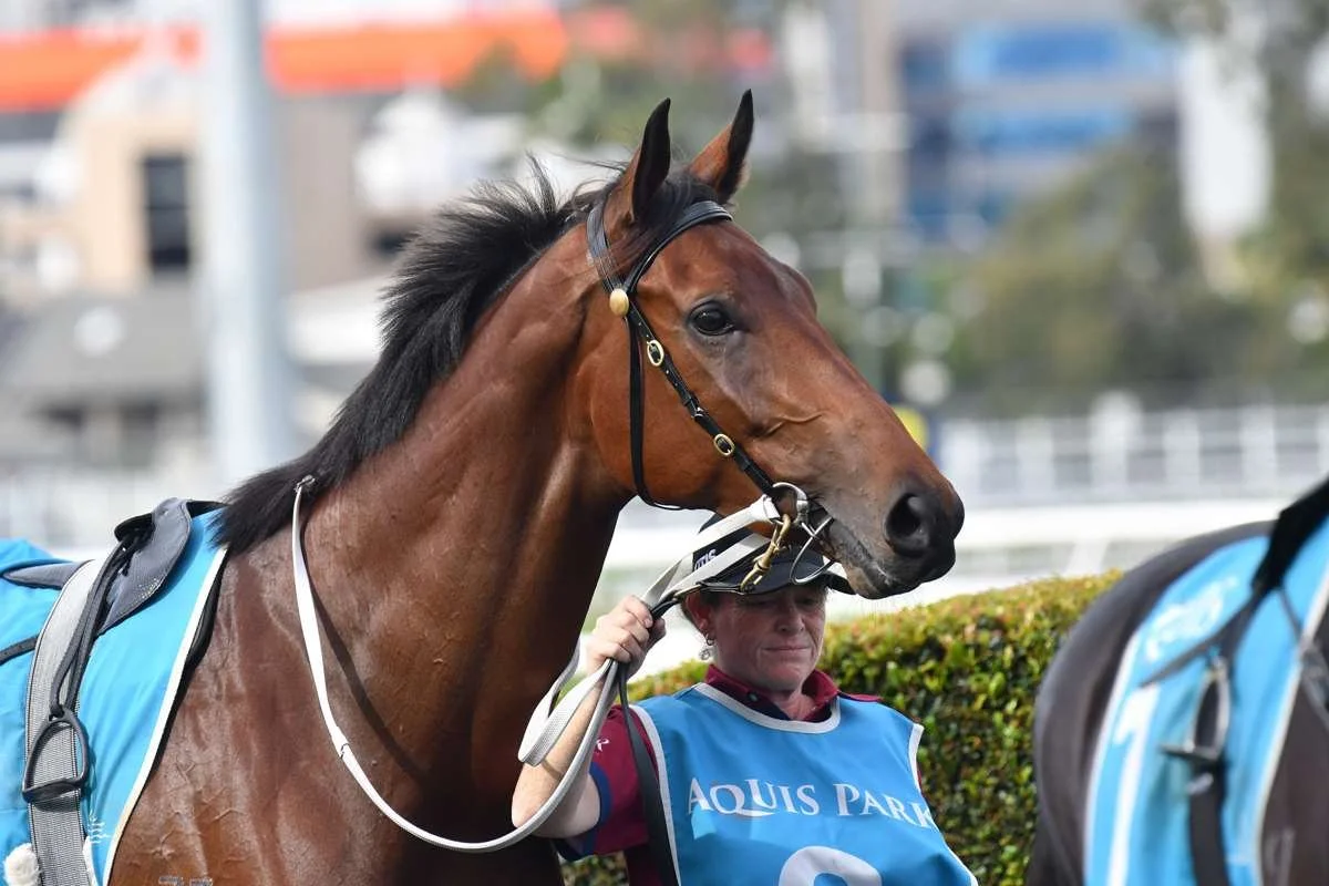 Bruce chasing first Group 1 glory with Highgrove Rose