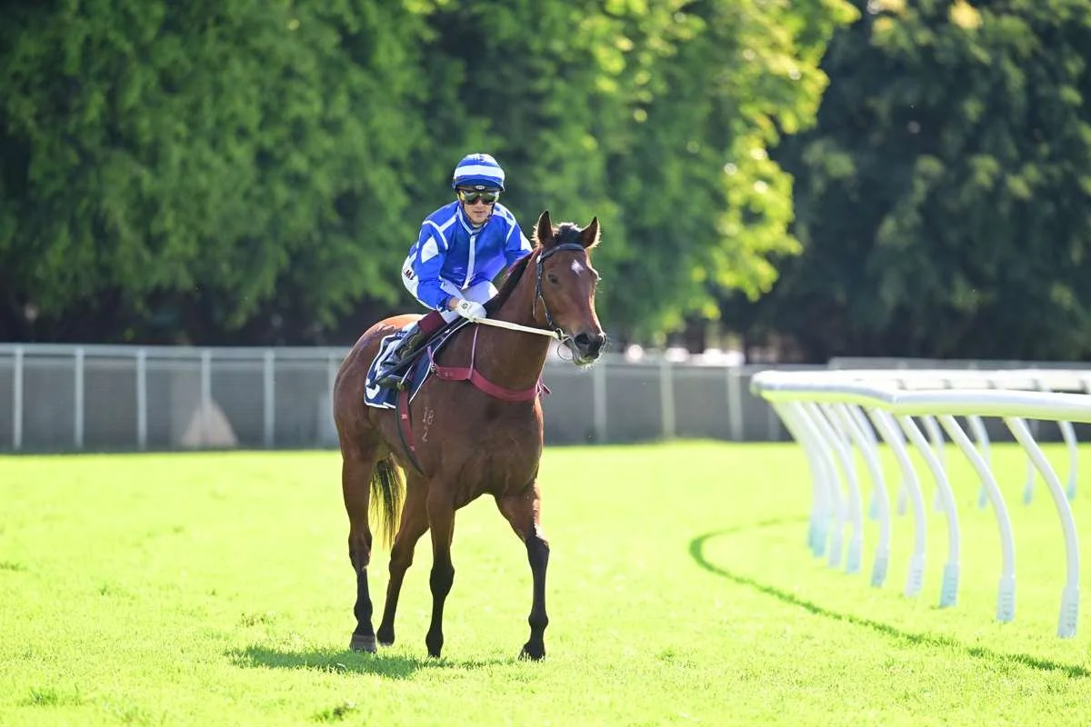 Extreme Purchase Rewards Lime Country Thoroughbreds