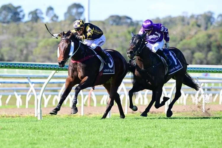 Two racehorse galloping in a race, the leading horse with a jockey wearing yellow and black silks and a horse behind following with purple and white silks