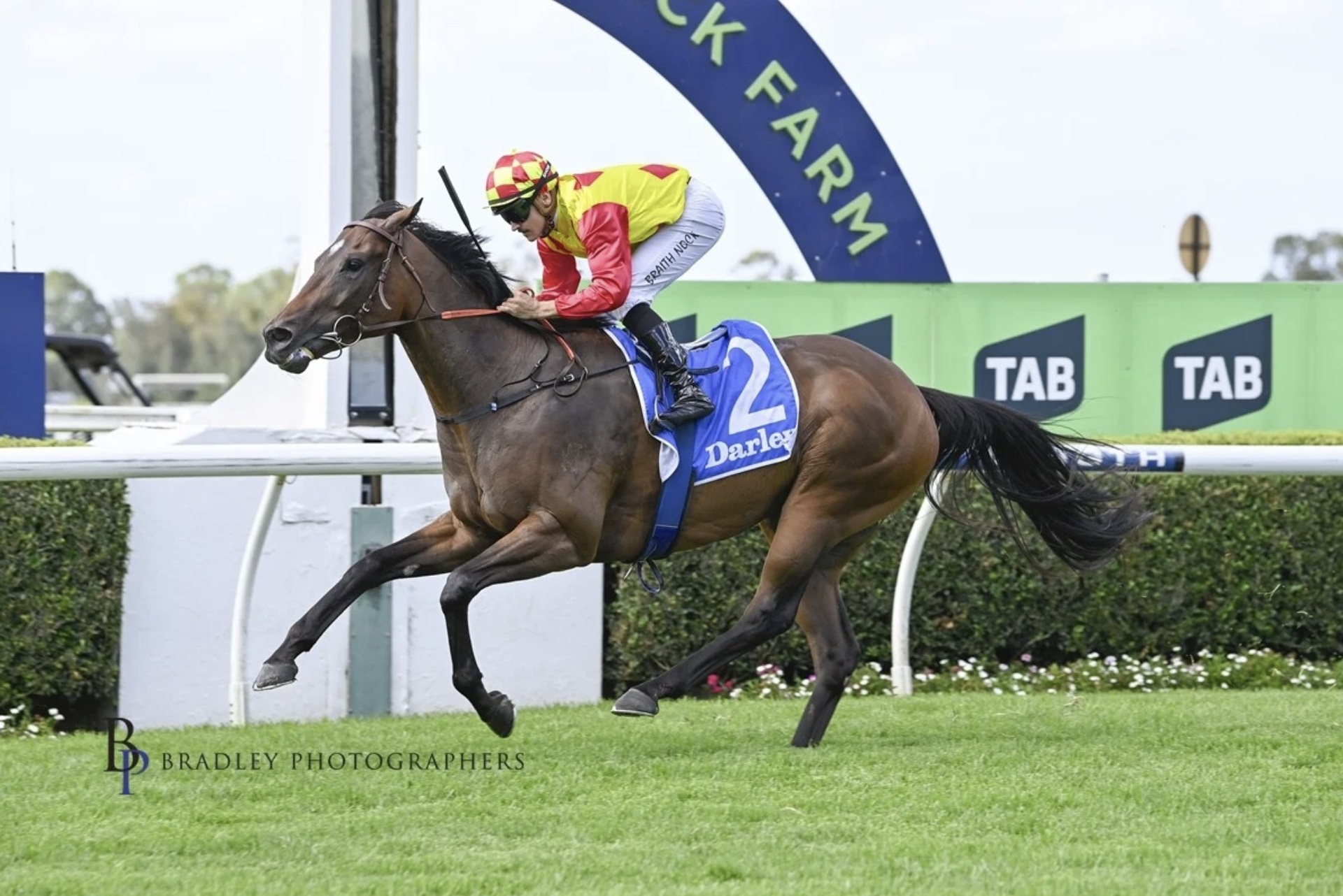 Racehorse crossing the finish line with jockey wearing red and yellow silks