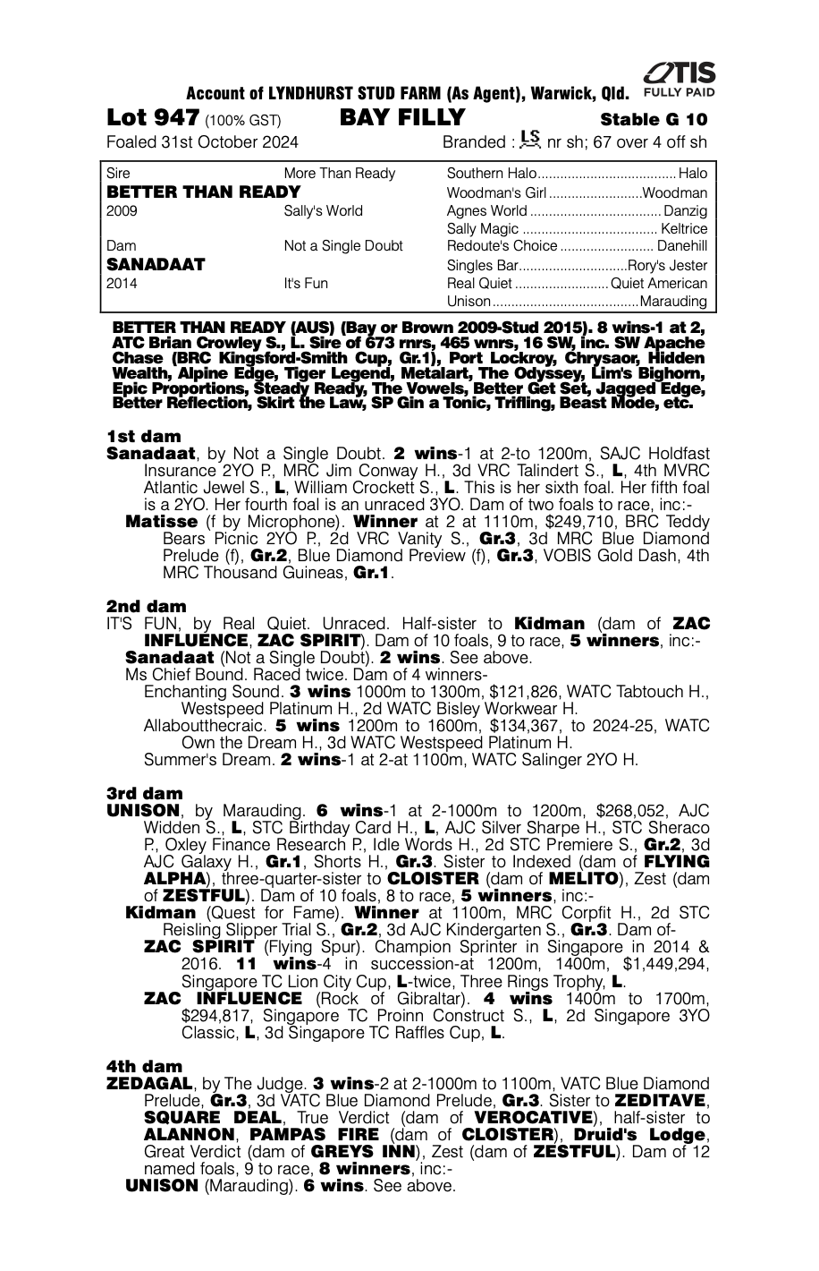 Pedigree page for the Better Than Ready x Sanadaat filly