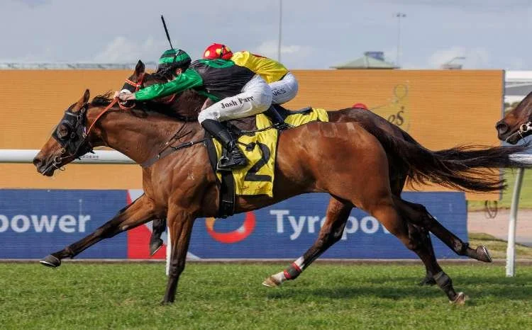 Racehorse stretched out galloping in a race with a jockey wearing black and green silks and horse wearing blinkers