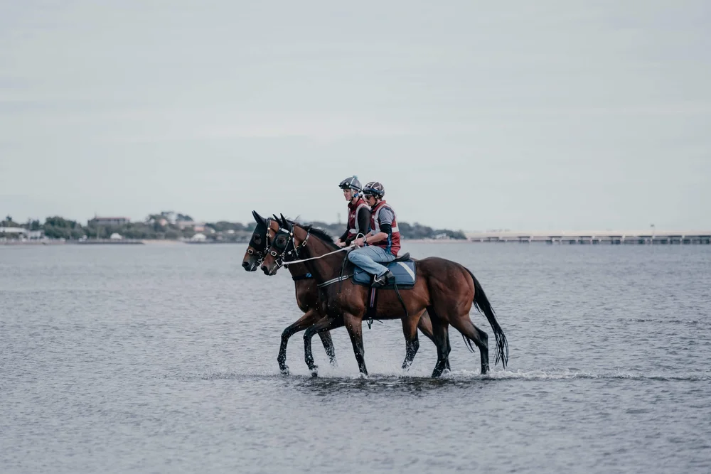 Ownership | Experience the Thrill — Jack Bruce Racing